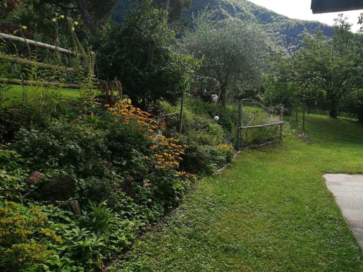 Villa Pinie Apt 1 Terlano Luaran gambar